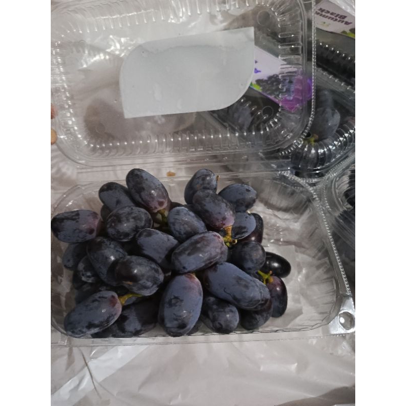 

Anggur Black Auntum Jumbo