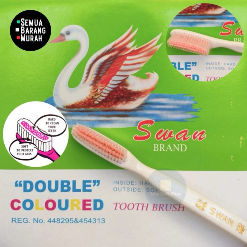 Sikat Gigi Swan Tooth Brush 1 Lusin - 12 pcs