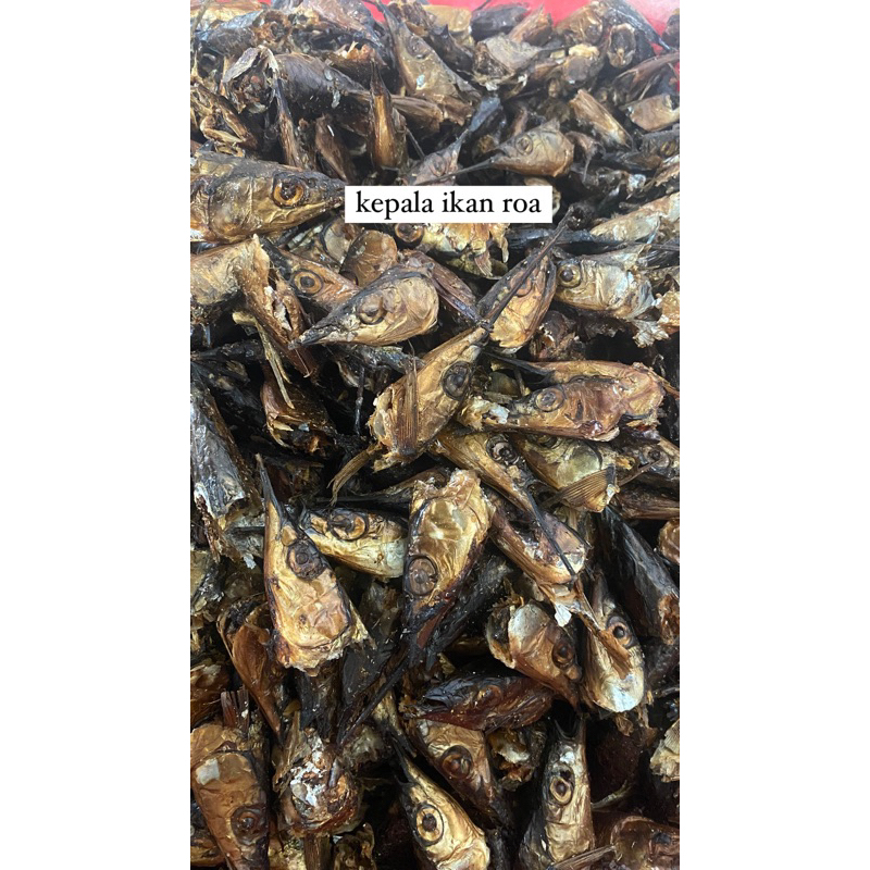 

KR - Ratu rica berat 200 gram Asli Manado bisa COD seluruh Indonesia [KEPALA ROA]