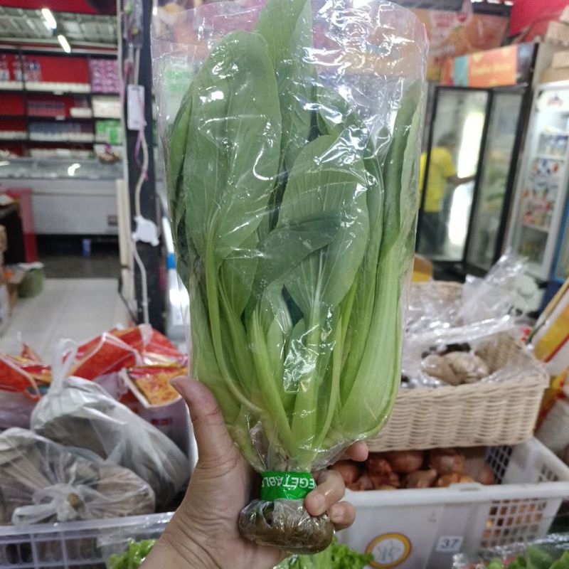 

Pokcoi Hidroponik +/- 250gr - Toko Buah Darto Jaya