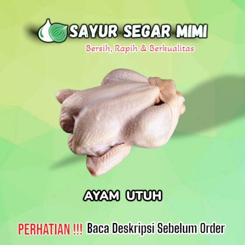 

Ayam Negeri Utuh (1Ekor) 1,5Kg sampai 1,8Kg - Sayur Segar Mimi