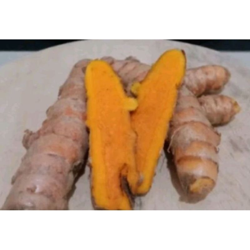 

kunyit/koneng segar 1kg bersih (sulur)