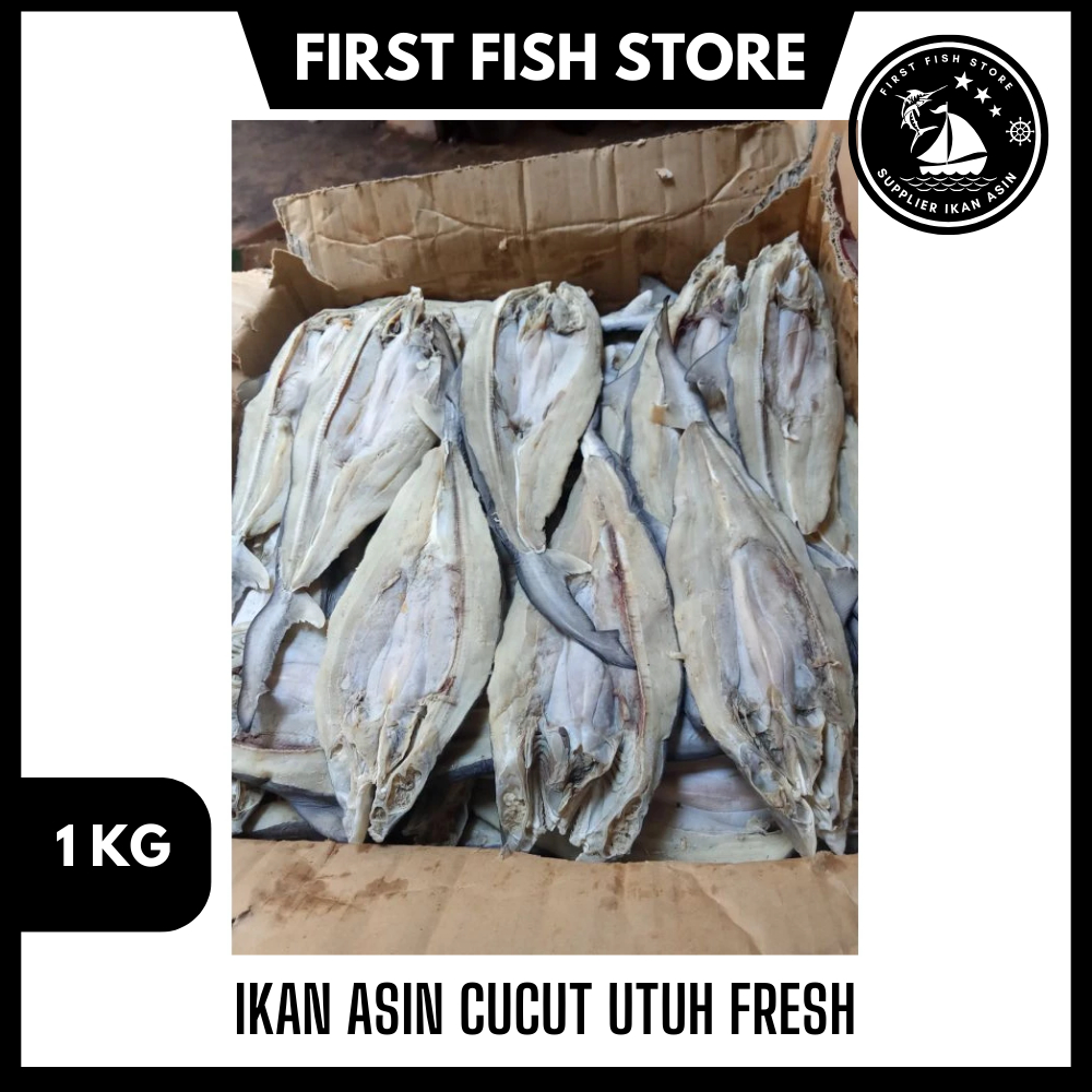 

Ikan Asin Cucut Utuh Fresh 1kg Kualitas Terbaik