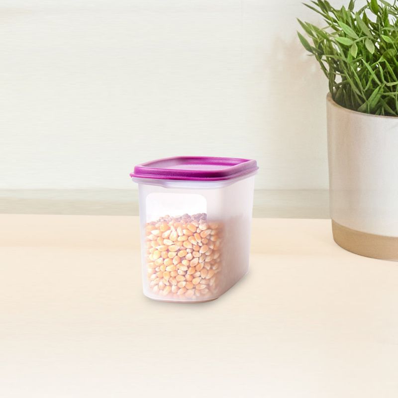 Smart Saver Oval 2 Tupperware - Rhubarb