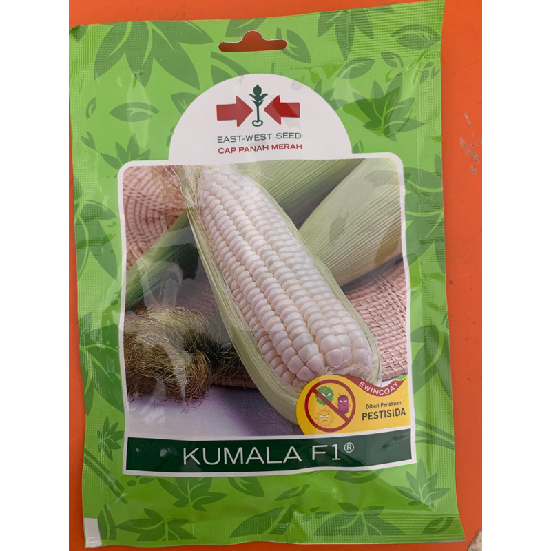 Benih jagung pulut kumala isi 200 butir