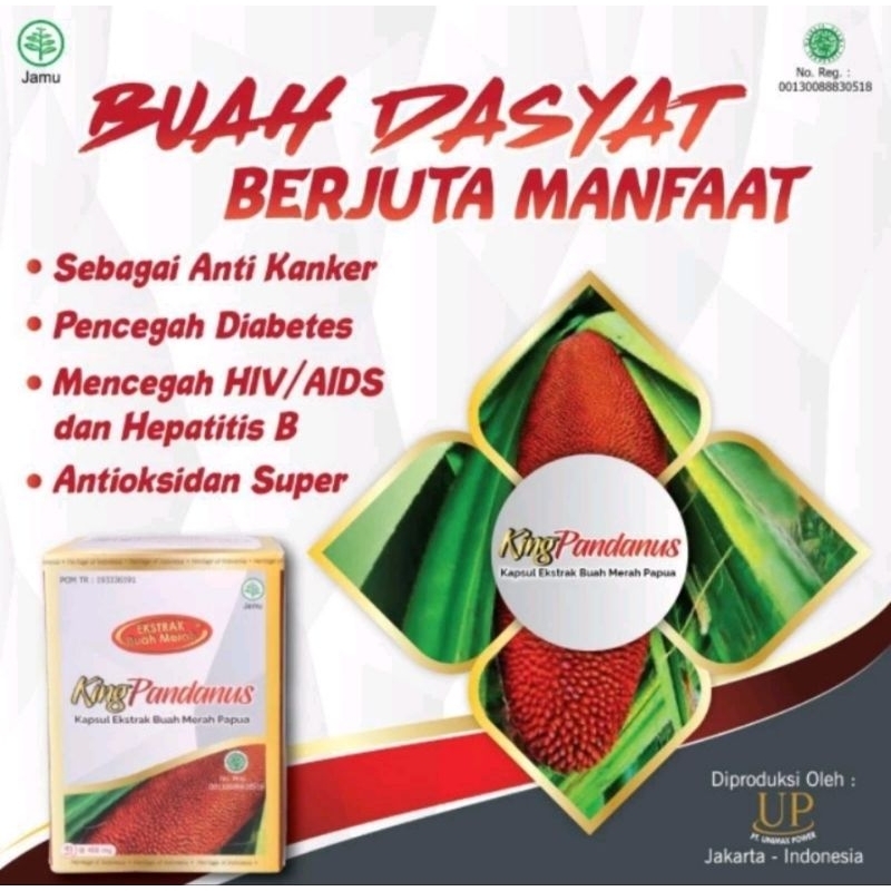 King Pandanus Obat Herbal Original Buah Merah Asli Papua