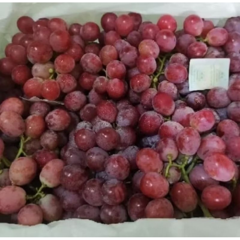 

anggur red globe 5kg