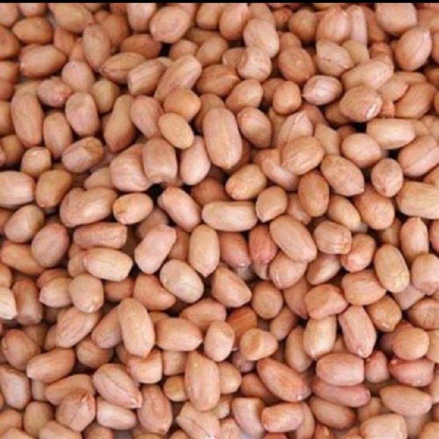 

Kacang Tanah Kualitas Super - Per Kg