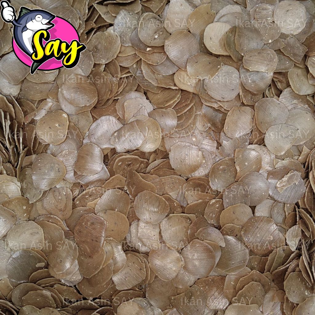 

Kerupuk Mentah Fanni Rasa Jengkol 1 Ball (5 Kg)