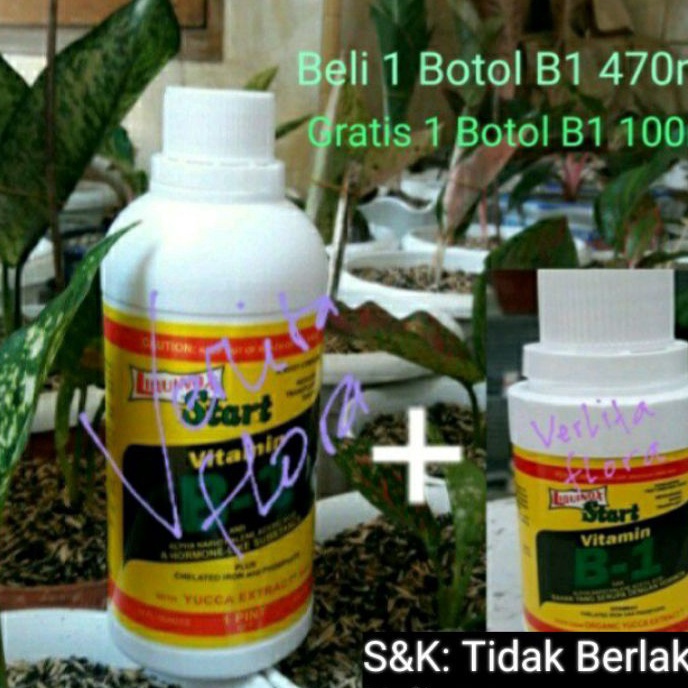 Super Vitamin B1 Liquinox 47ml untuk semua jenis tanaman