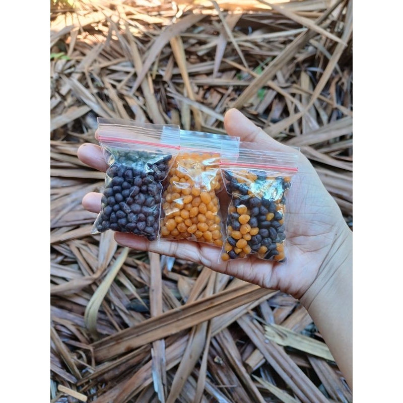 

Jamu Barajah Nene Betujuan 1000 % ORI