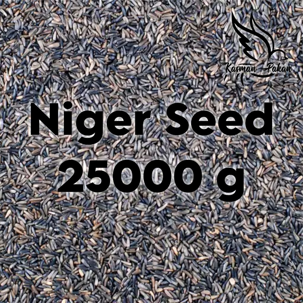 Niger Seed Pakan Kenari Ternak Harian