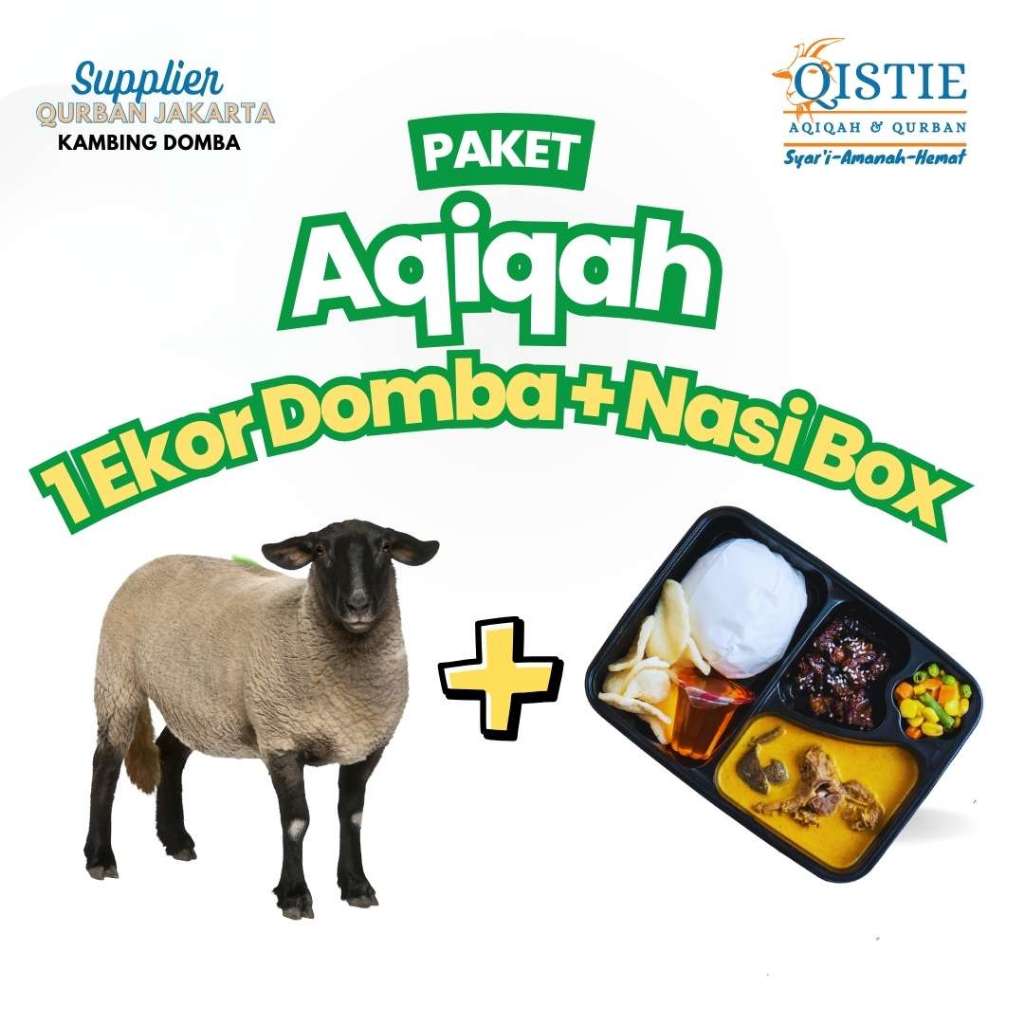 

Paket Aqiqah + Nasi Box Komplit