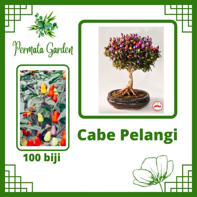 Benih Cabe Pelangi Bolivian Rainbow