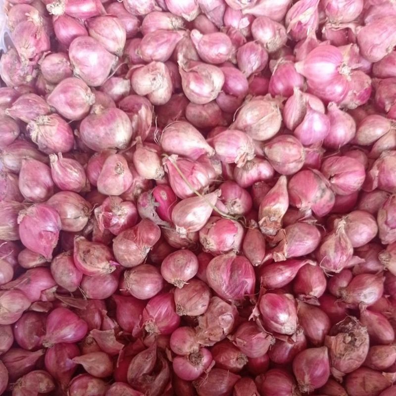 

Bawang Merah