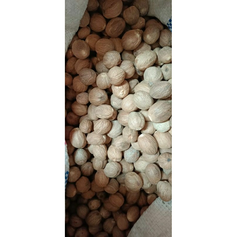 

NEW！！Biji PALA Utuh 50gram