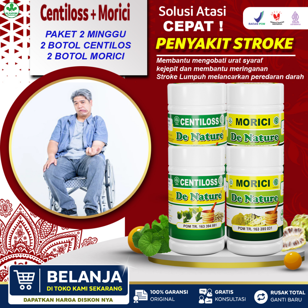 Paket 2 Minggu Obat Stroke Ampuh Srtuk Parkinson Lumpuh Saraf Kejepit Epilepsi Vertigo Badan Susah G