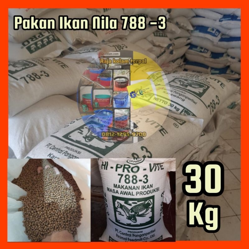 Pakan Ikan Nila / Pakan Ikan Nila 788 -3 per karung 30kg