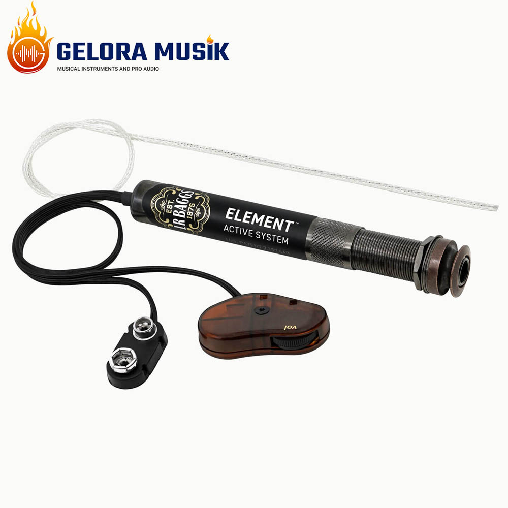 Pickup Akustik LR Baggs Element Active System