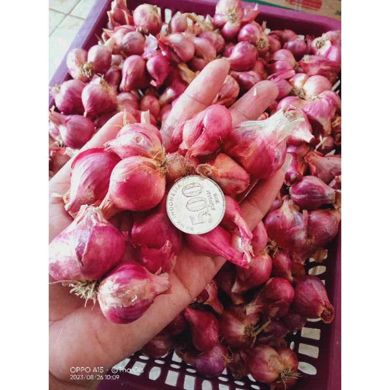 

Bawang merah 1kg