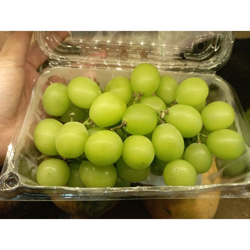 

ANGGUR MUSCAT HIJAU PACK