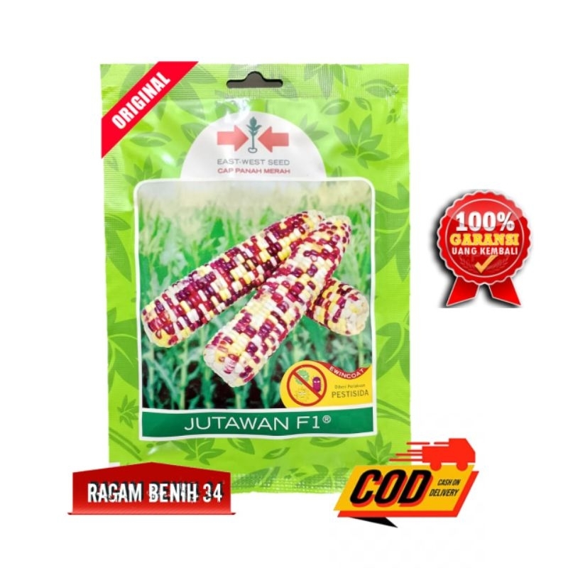 Benih Jagung Ketan Jutawan F1 200 Butir - Cap Panah Merah