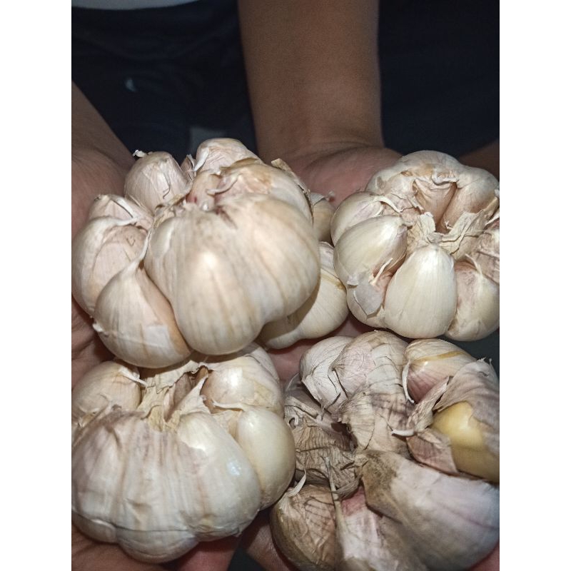 

bawang putih 1/2kg