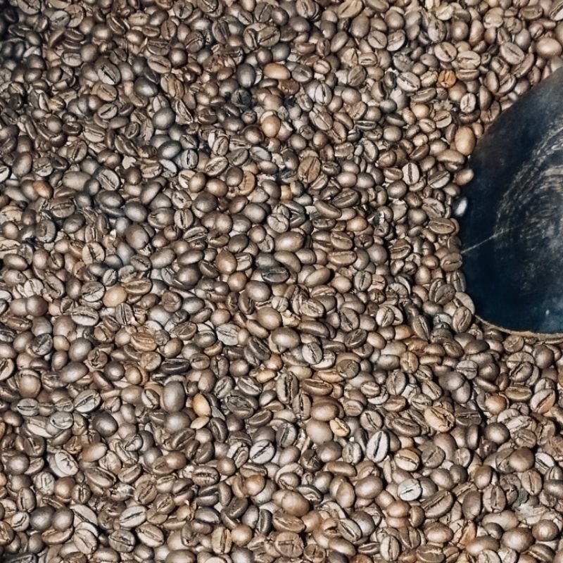 

ROBUSTA NATURAL