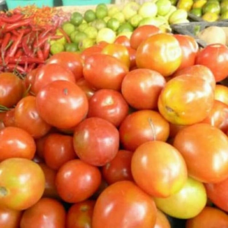 

TOMAT 1 KG KHUSUS JATIM