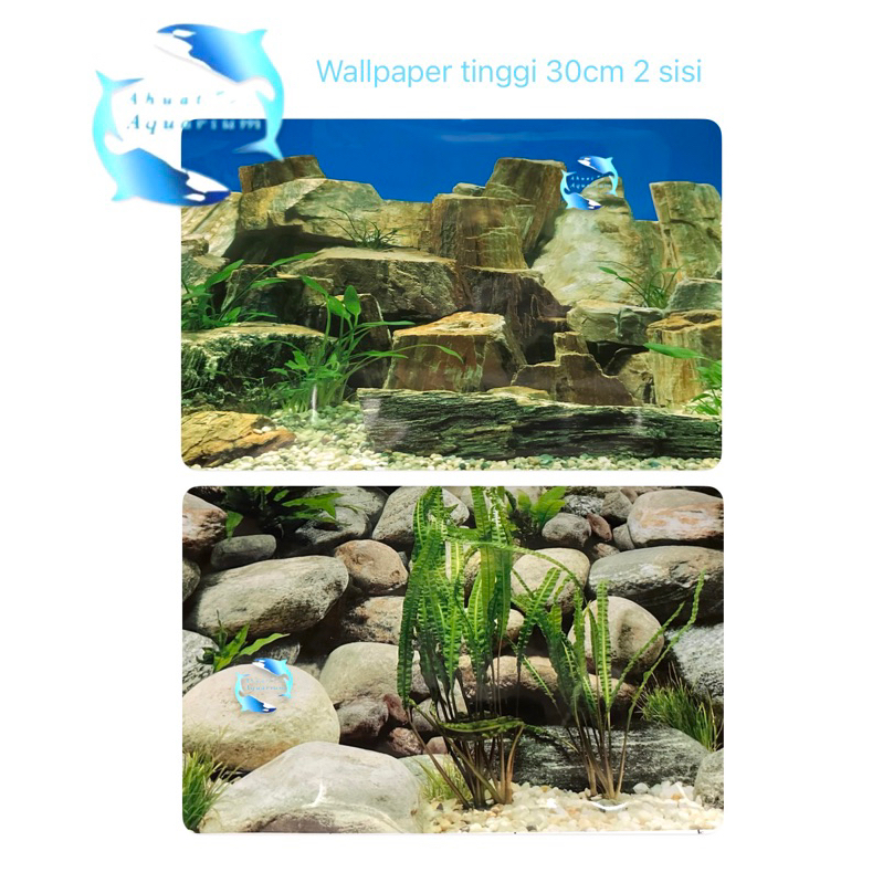 WALLPAPER AQUARIUM 3D STONE UKURAN 30 CM PERMETER 2 GAMBAR DALAM 1 WALLPAPER BACKGROUND AQUARIUM