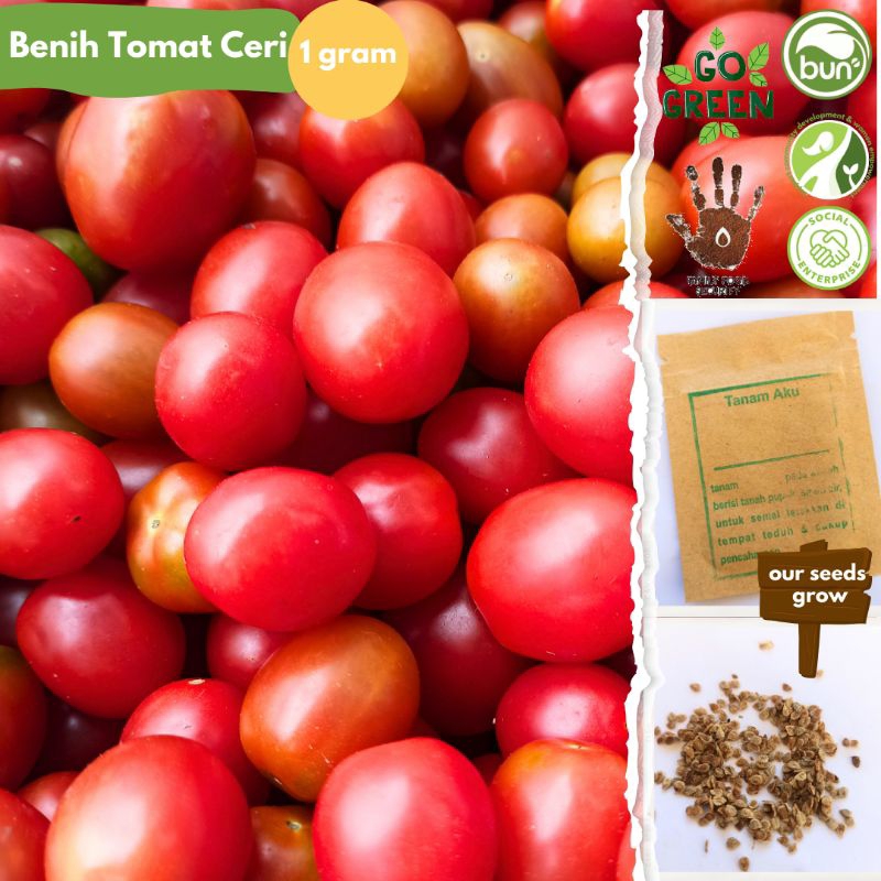 Biji Benih Tomat Ceri Cherry Mini 1 gram Benihbunbun