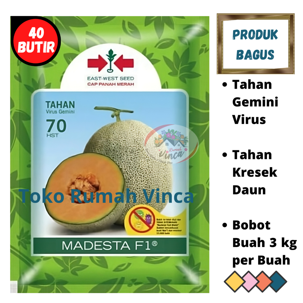 Benih Bibit Biji Melon Madu MADESTA 40 Butir dari Cap Panah Merah Melon Orange Rock Melon