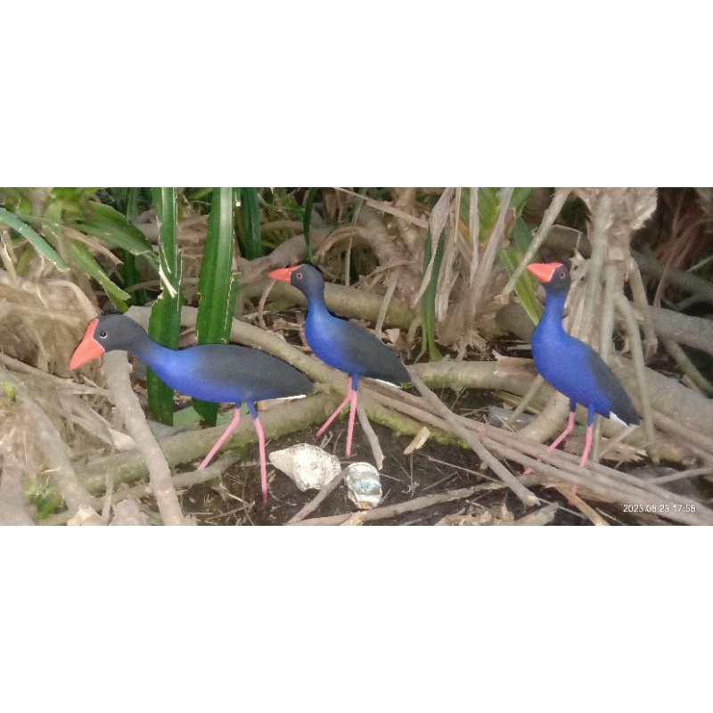Replika / patung/ jontrot burung mandar biru