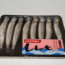 

IKAN SHISAMO PACK