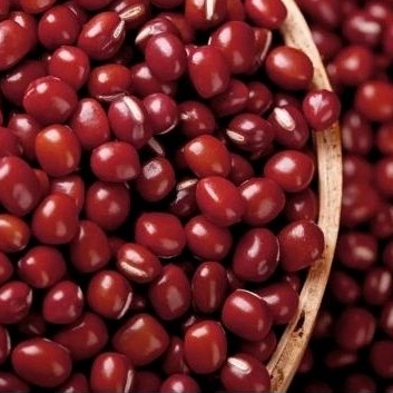 

kacang merah azuki adzuki azkusi 1kg red bean import