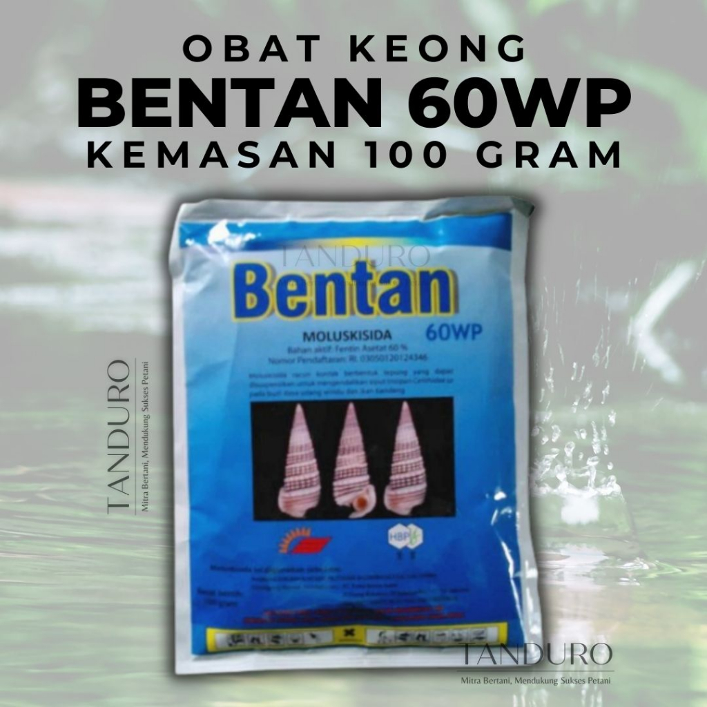 Bentan 60 WP 100 Gram Obat Keong Sawah Siput Bekicot Moluskisida Tabur