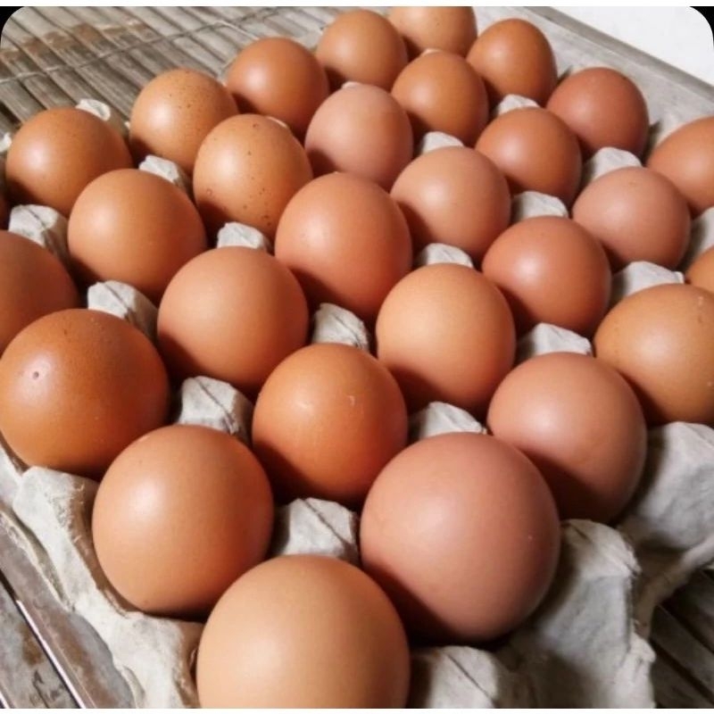 Telur Ayam kemasan 500 gram dan 1 kg ( khusus area paiton)