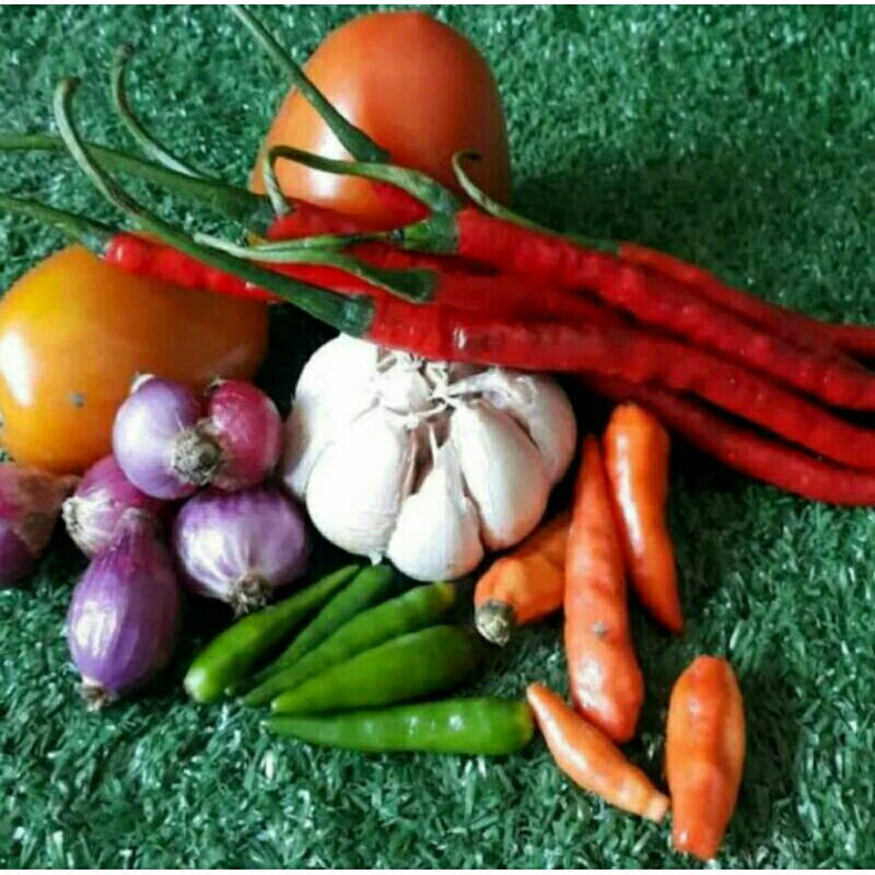 

PAKET SAMBELAN