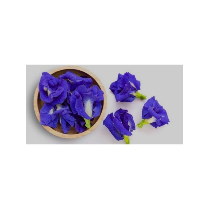 

butterfly pea
