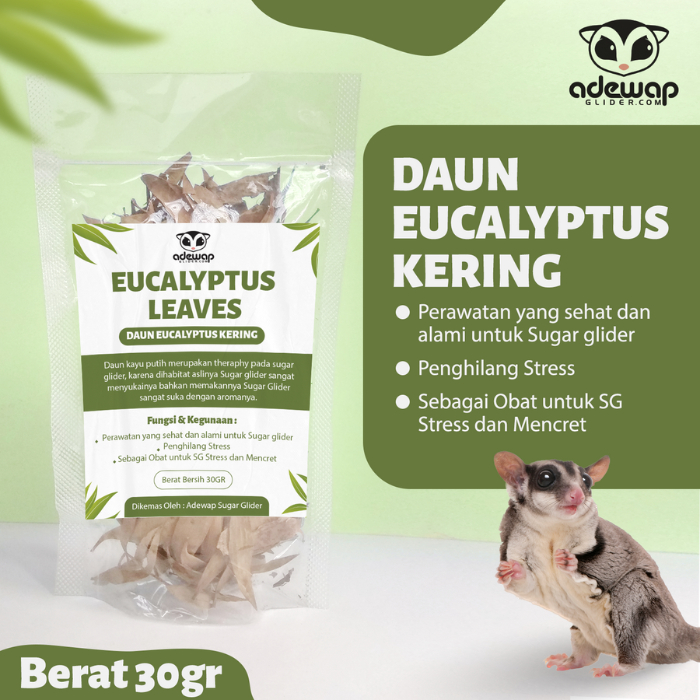 ADEWAP GLIDER Daun Eucalyptus Penghilang Stress Sugar Glider Daun Kering Penghilang Stress Hewan Peliharaan