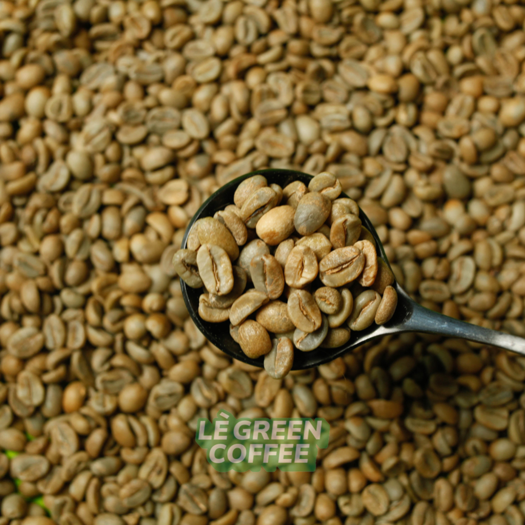 

TRAWAS NATURAL ANAEROB