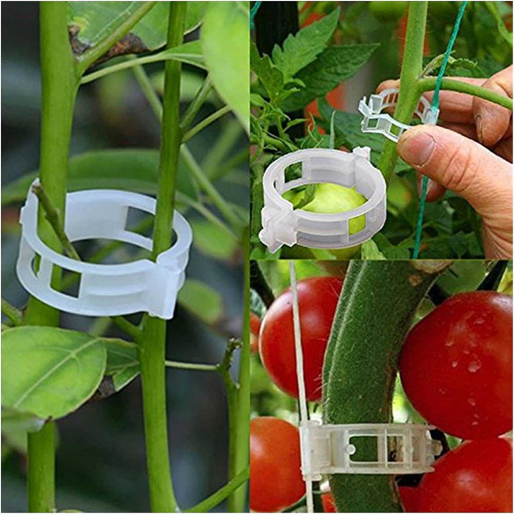 KLIP BATANG TANAMAN PLASTIC RAMBAT CLIP HOLDER TANAMAN MERAMBAT KEBUN