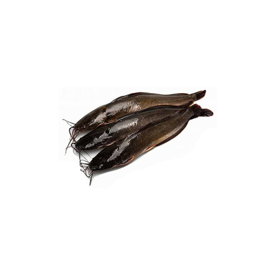 

Ikan Lele Fresh - 500 Gram