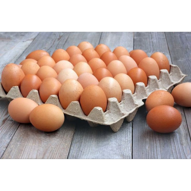 

TELUR AYAM MENTAH 1 KG