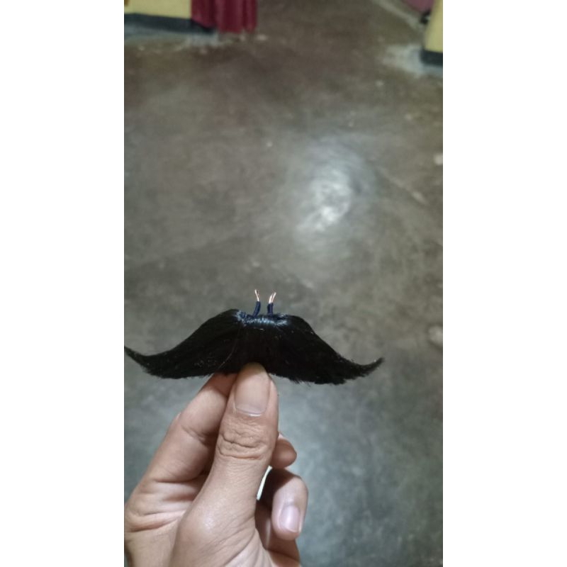 JEBRES KLIMIS KAKU JARANAN TEMANGGUNG//KUMIS JARAN KEPANG