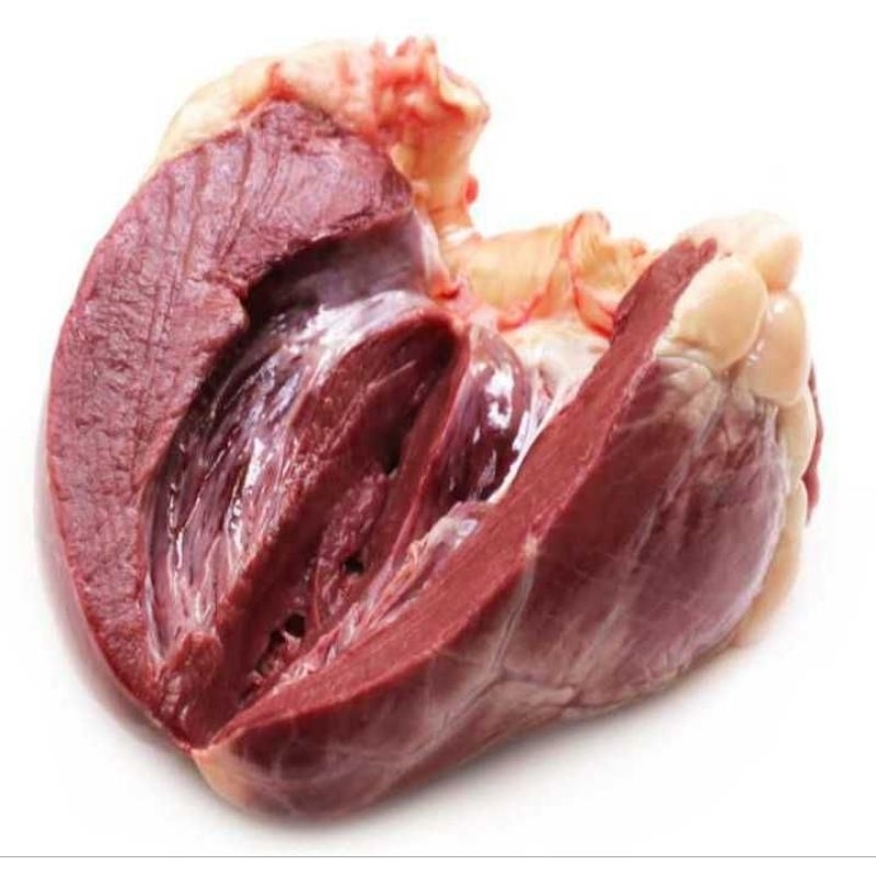 

Jantung Sapi Berkualitas/250gram