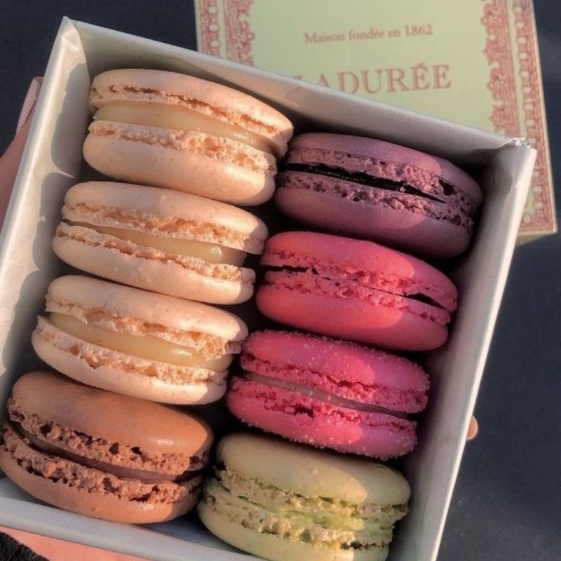 

Macaron laurentides