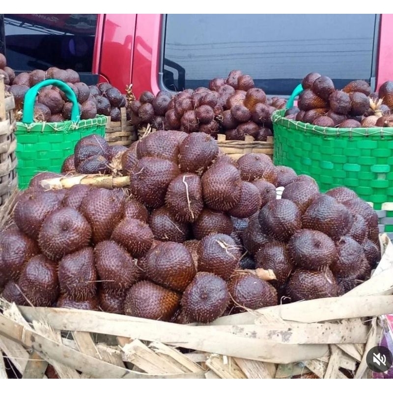 

salak pondoh 1kg