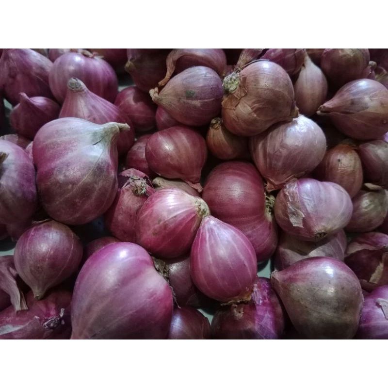 Bawang merah 1kg
