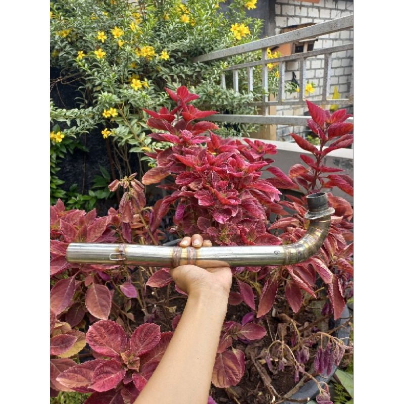 leher kharisma wave kirana supra 125 200cc sleep engine 40cm